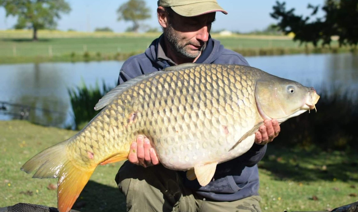 Karper Petite Coquais Frankrijk Karpers Karper Frankrijk Karpervissen