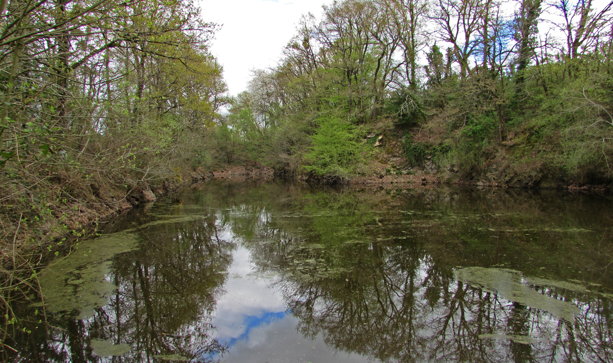 Sfeer Petite Coquais Frankrijk Karpers Frankrijk Visvakantie Gezin