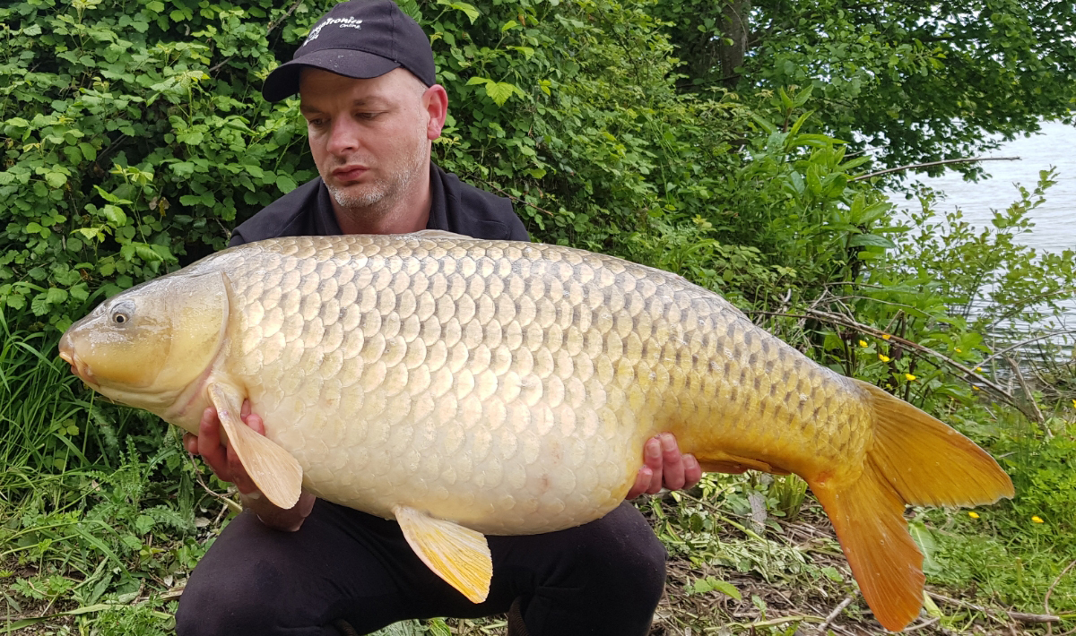 Karper Lac De Lepinet Betaalwater Betaalwater Karpervissen Frankrijk
