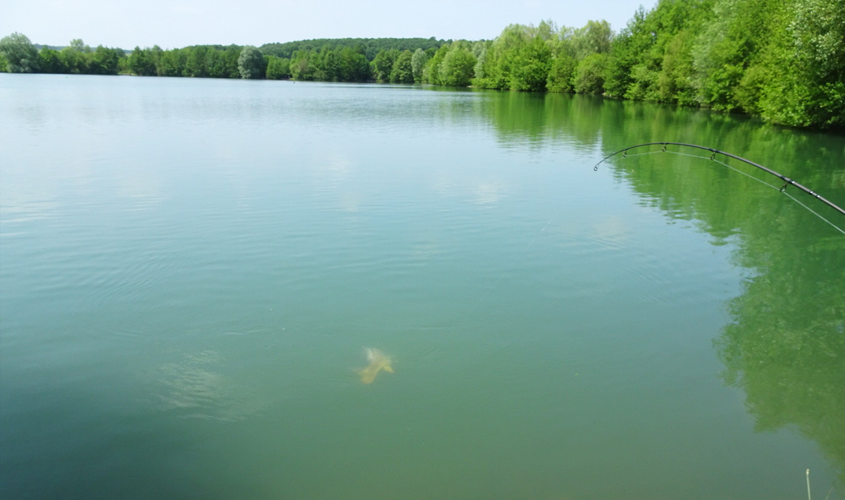 Sfeer Lac De Lepinet Betaalwater Karpervissen Frankrijk 11