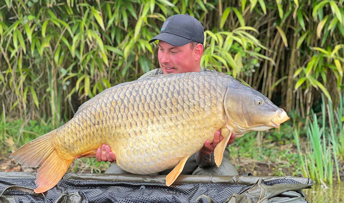 Carpa Lac De Villedon Francia Lac Francia 4