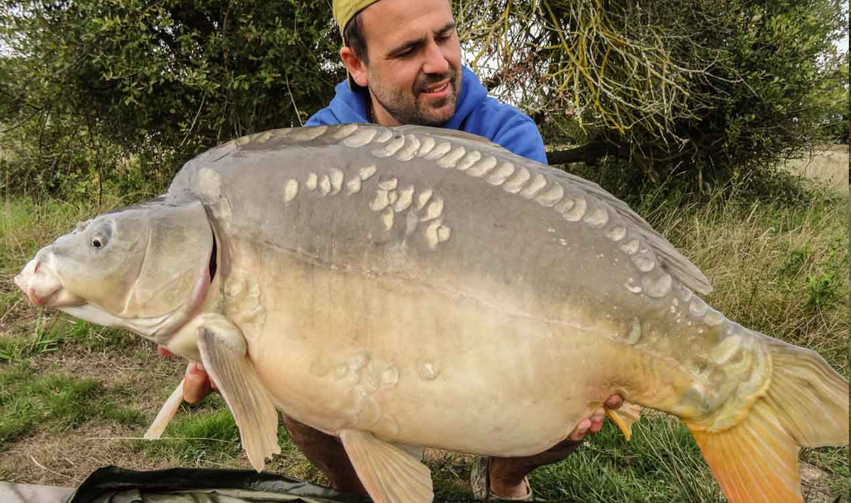 Carpa Lac De Villedon Francia De Vacaciones 4