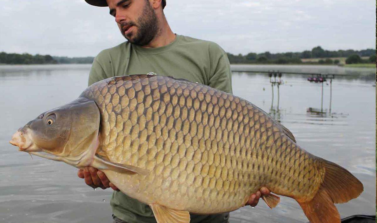 Carpa Lac De Villedon Francia De Villedon Pesca