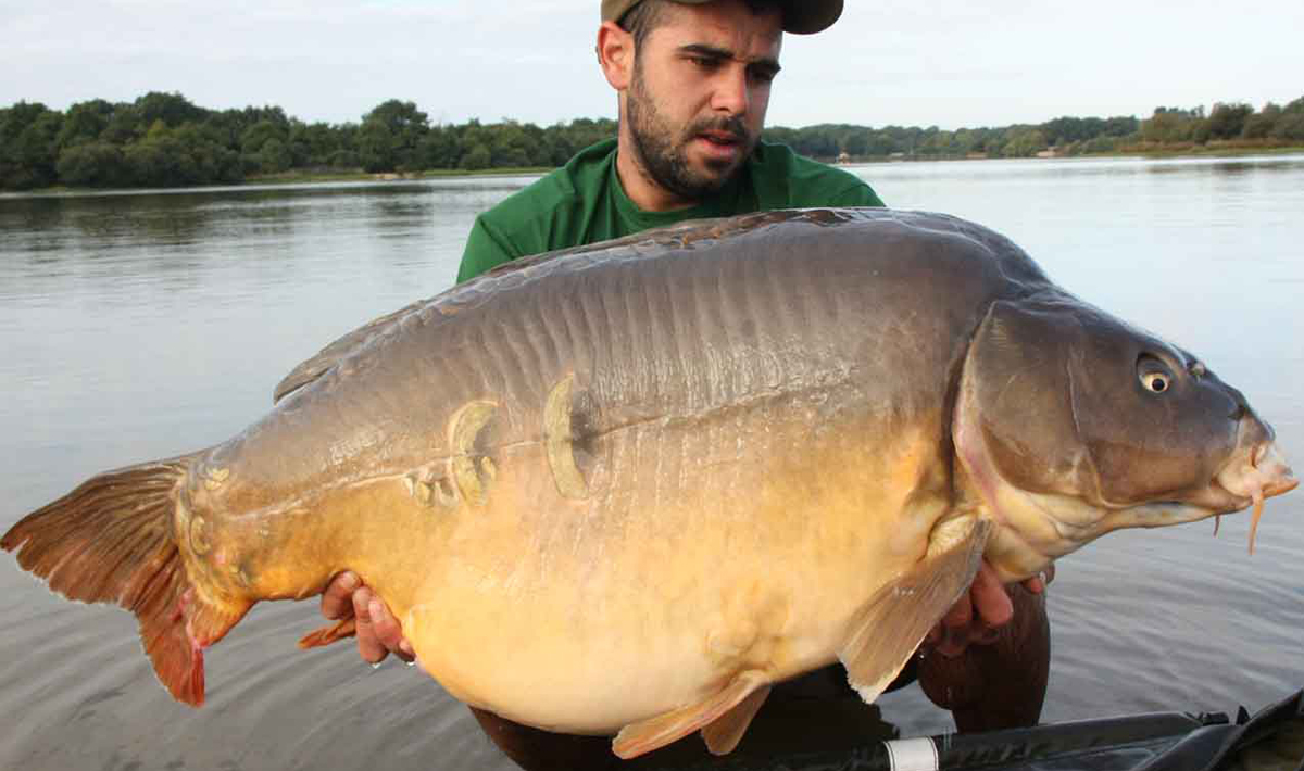 Carpa Lac De Villedon Francia Lac De Pesca