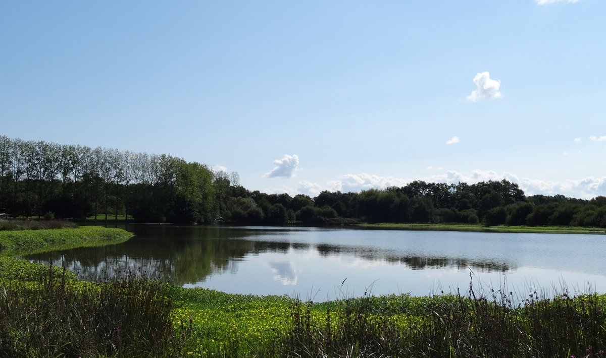 Sfeer Carpa Lac De Villedon Francia Pesca 3