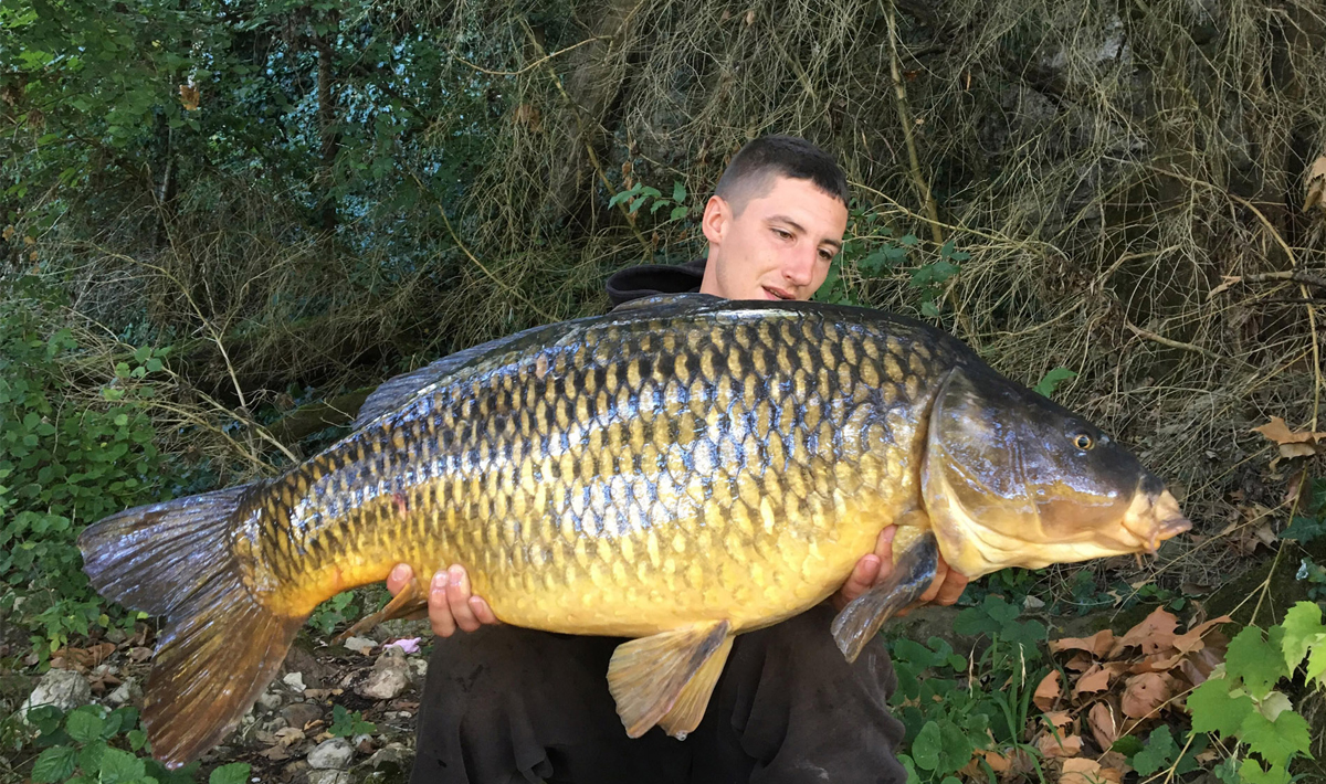 Karper Bootvissen Rivier De Lot Rivier De 1