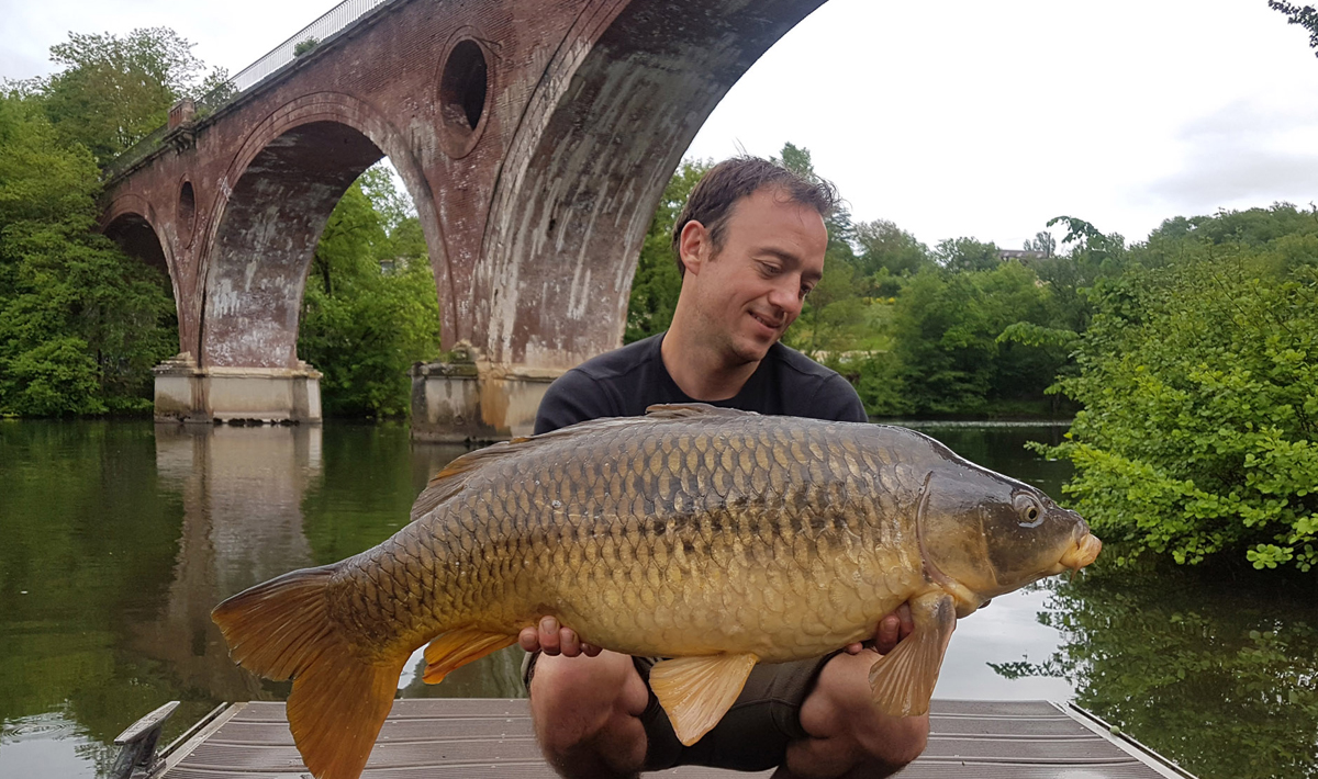 Karper Bootvissen Rivier De Lot Karper Grote 2
