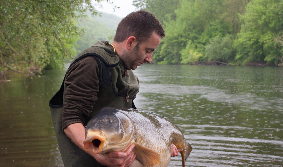 Karper Bootvissen Rivier De Lot Rivier Lot 4