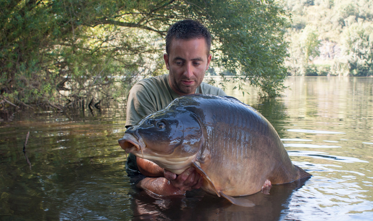 Karper Bootvissen Rivier De Lot Bootvissen Openbaarwater 5
