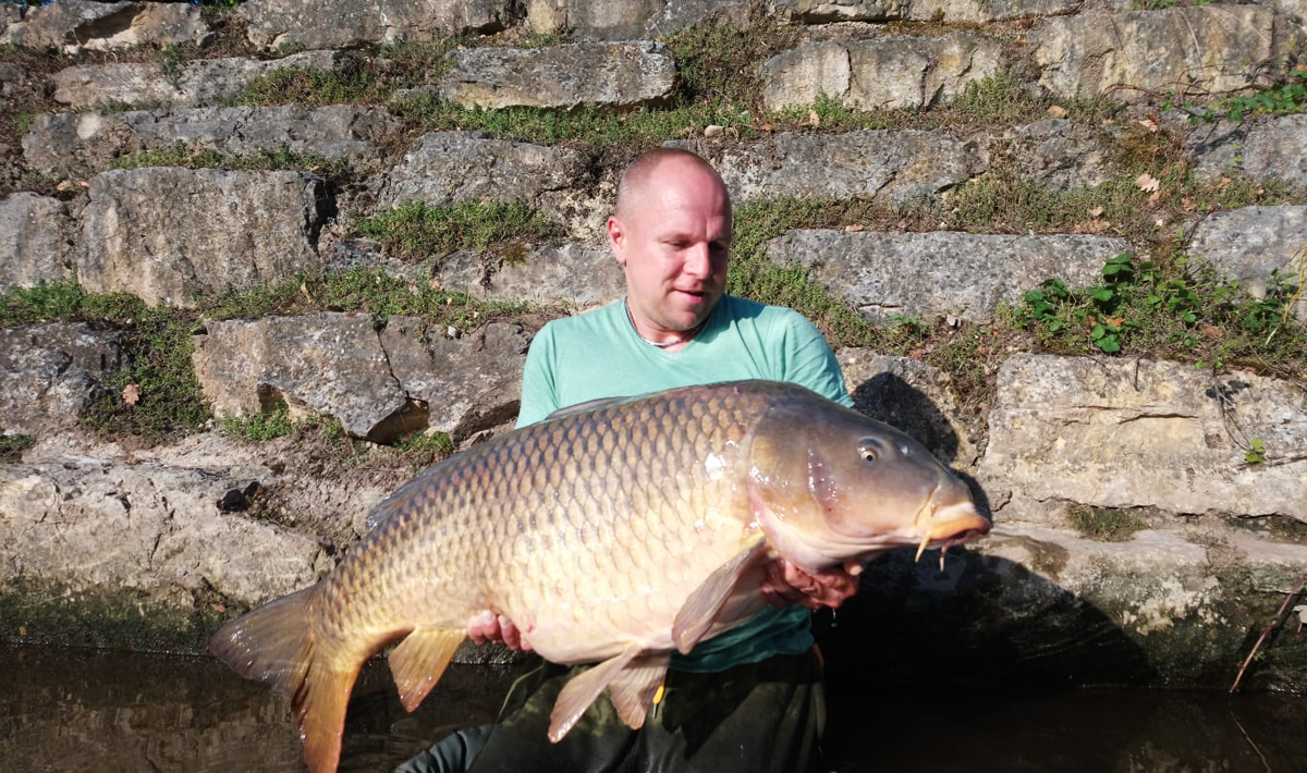 Karper Bootvissen Rivier De Lot Karper Grote Openbaarwater