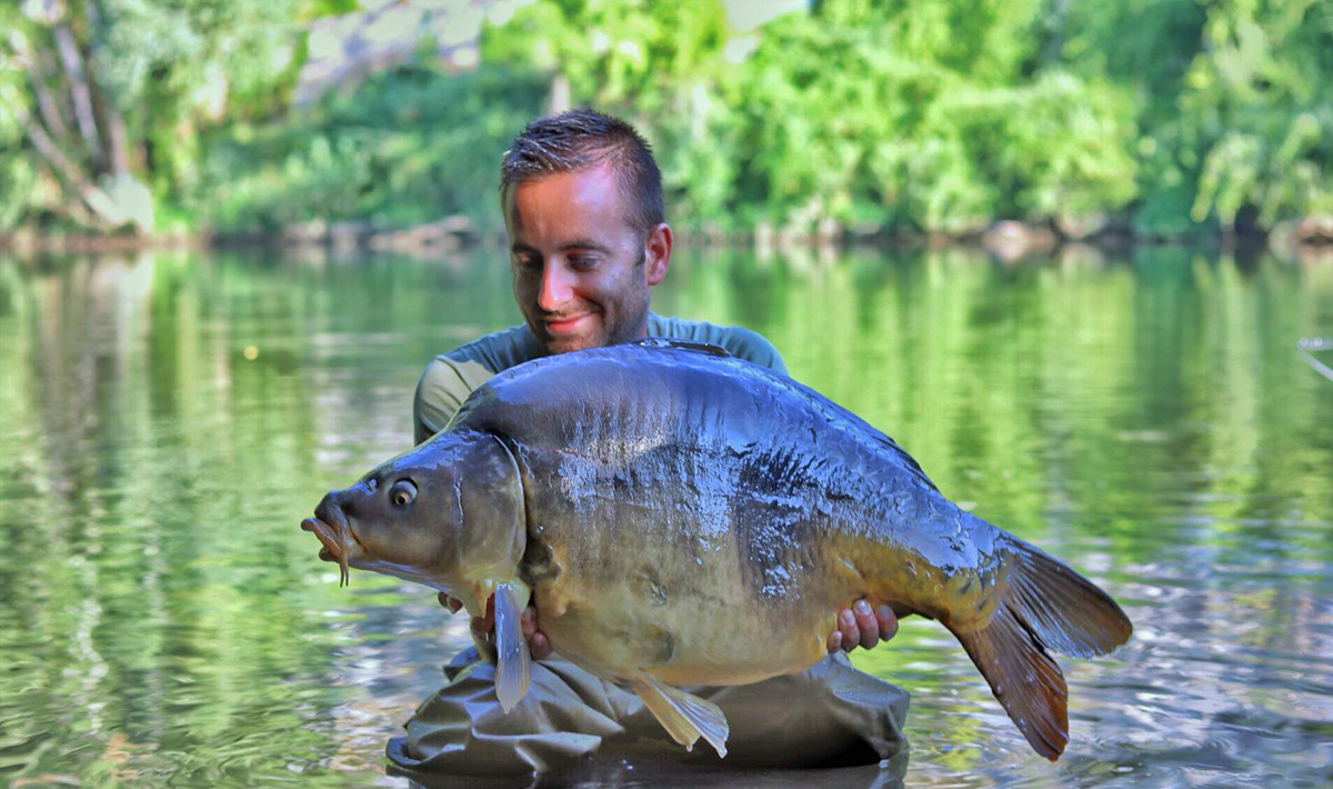 Karper Bootvissen Rivier De Lot Karper Lot Openbaarwater