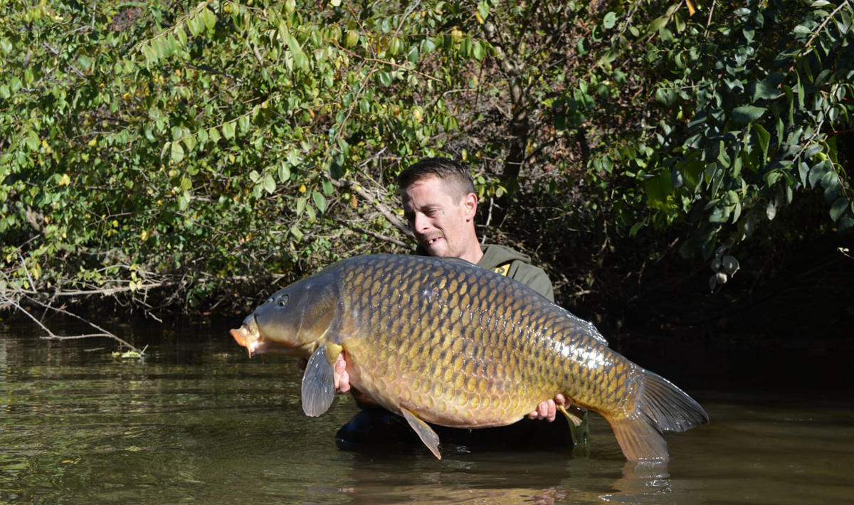 Karper Bootvissen Rivier De Lot Karper Bootvissen Rivier