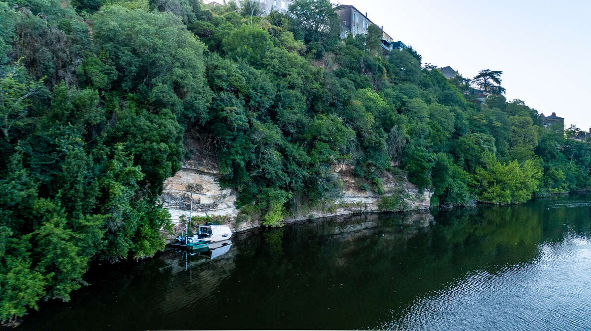 Lot Of Carp 12 Lot Carp 12