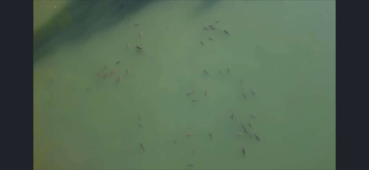 Pegasus Lakes 3 Pegasus Lakes 3