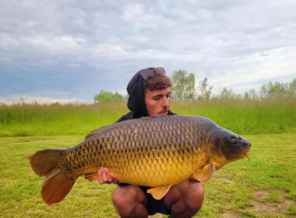 Pegasus Carpfishing Holiday Comon Carp Pegasus Carpfishing Comon
