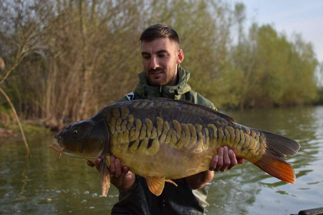 Pegasus Carpfishing Holiday Miror Carp Miror Carp 1