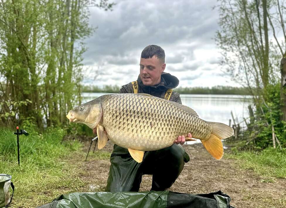 Pegasus Lake 2 Schubkarper 1 Pegasus Schubkarper 1