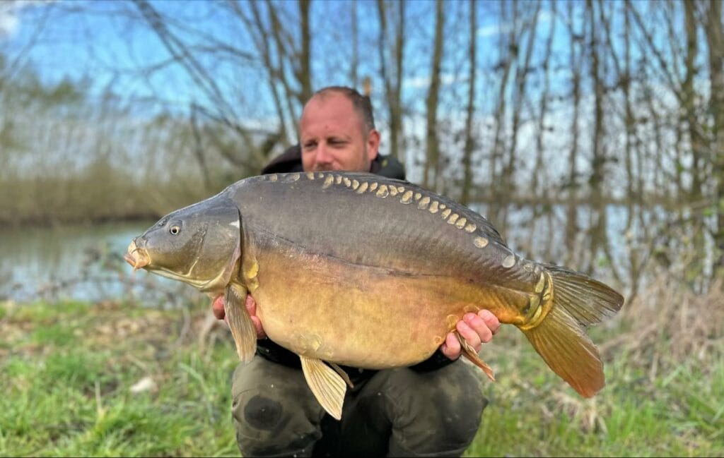 Pegasus Lake 2 Spiegelkarper 4 Lake 2 Spiegelkarper