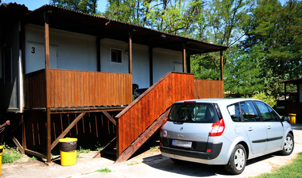 Appartement Meerval Tonijn Karper Snoekbaars Meerval Tonijn Karper