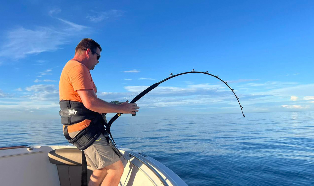 Vissen Meerval Tonijn Karper Snoekbaars Catfish 9 1