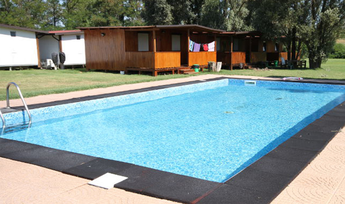 Voorzieningen Meerval Tonijn Karper Snoekbaars Voorzieningen Catfish Po