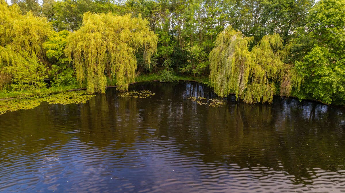 Carp Lake Rosmalen Drone 2 Carp Rosmalen Drone