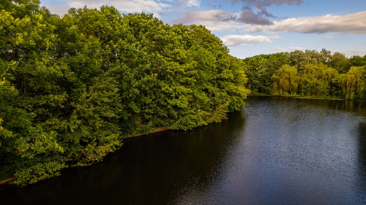 Carp Lake Rosmalen Drone 3 Lake Rosmalen Drone