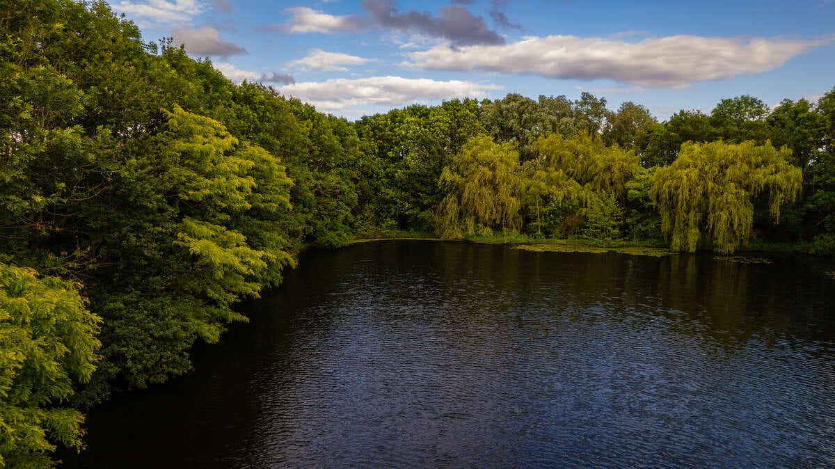 Carp Lake Rosmalen Drone Carp Lake Rosmalen