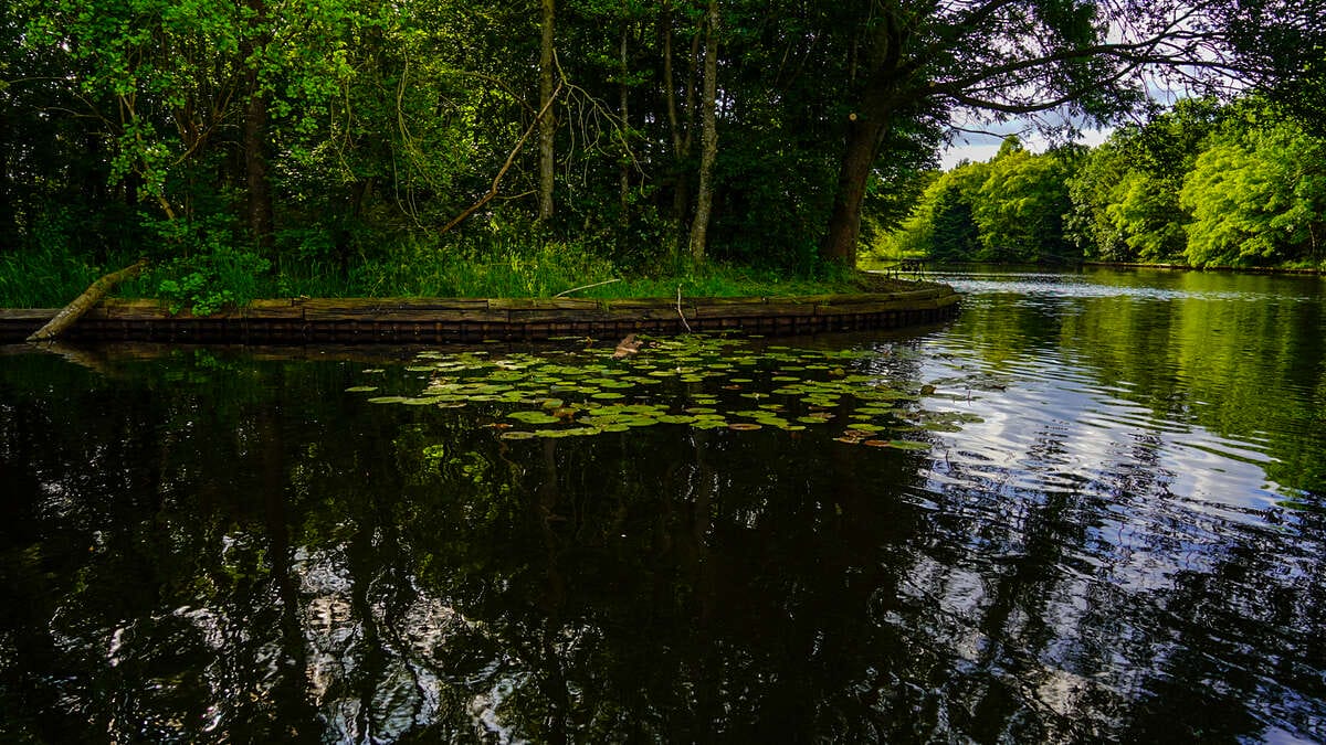 Carp Lake Rosmalen Sfeerfoto 3 Carp Lake Sfeerfoto