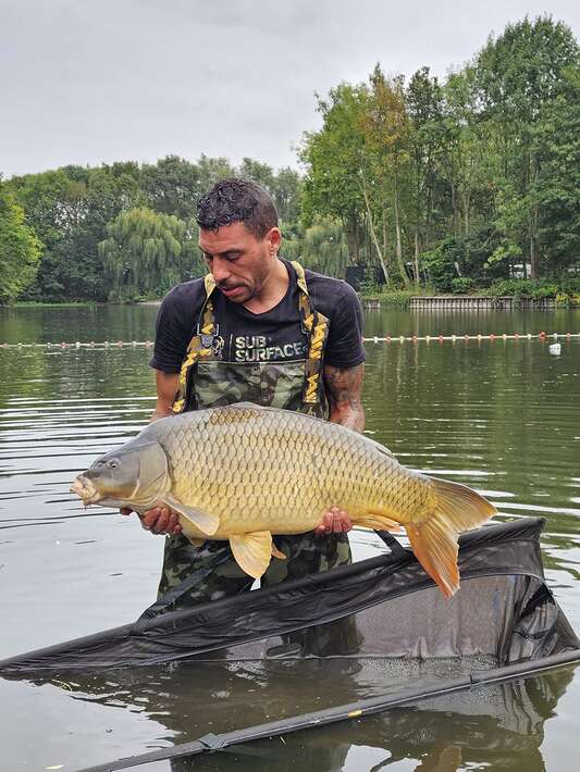 Carplake Rosmalen Karpervissen In Nederland Carplake In Nederland