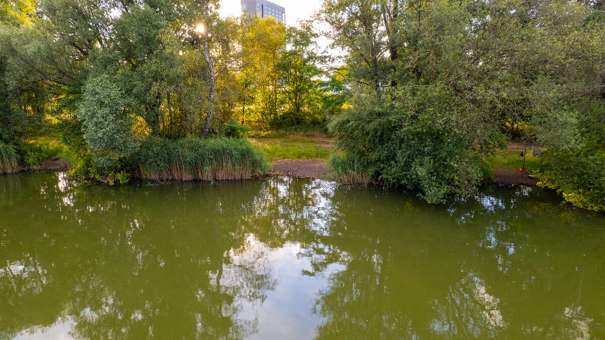 Dannys Carplake Eindhoven Betaalwater Drone Carplake Betaalwater 3