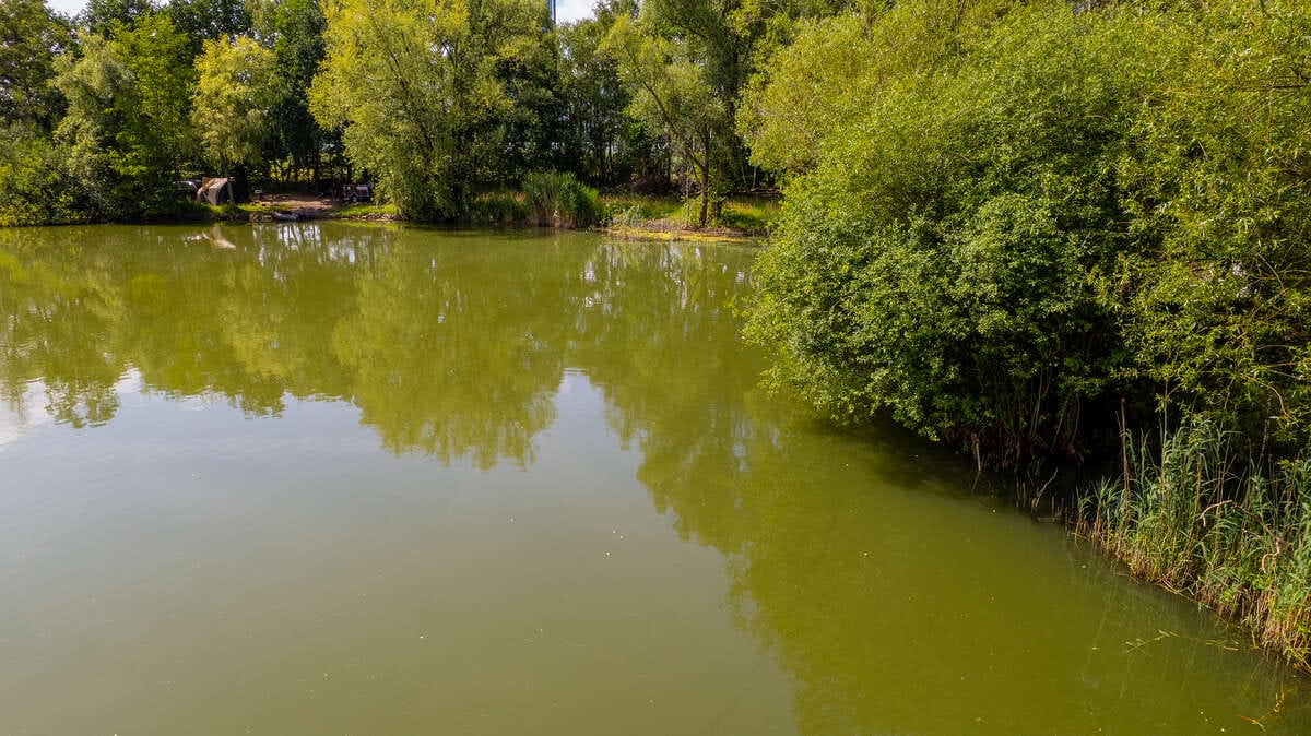 Dannys Carplake Eindhoven Betaalwater Drone Dannys Eindhoven 5