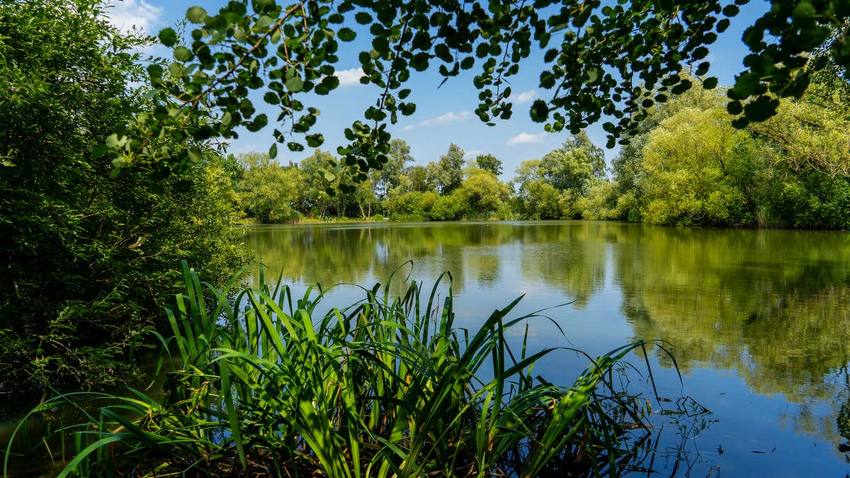 Dannys Carplake Eindhoven Betaalwater Visvakantie Carplake Sfeerfoto 6