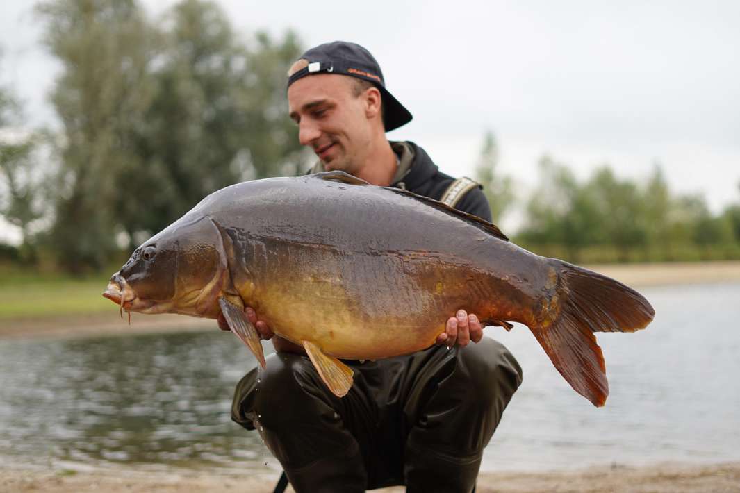 De Ganzenkuil Karper 15 Ganzenkuil Karper 15