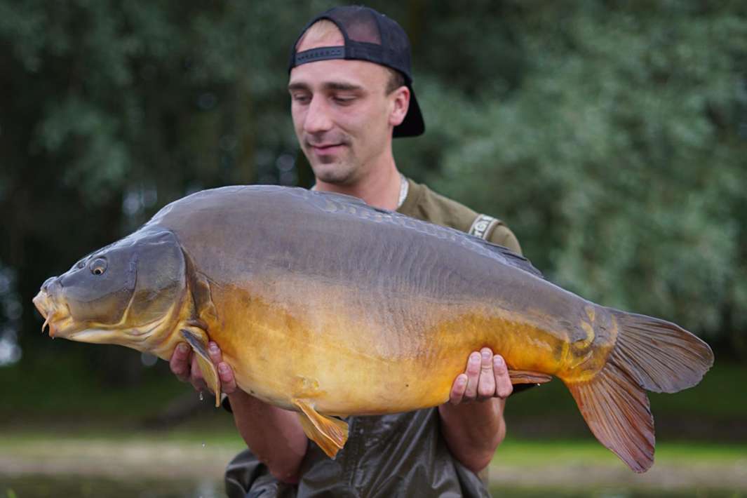 De Ganzenkuil Karper 19 De Karper 19