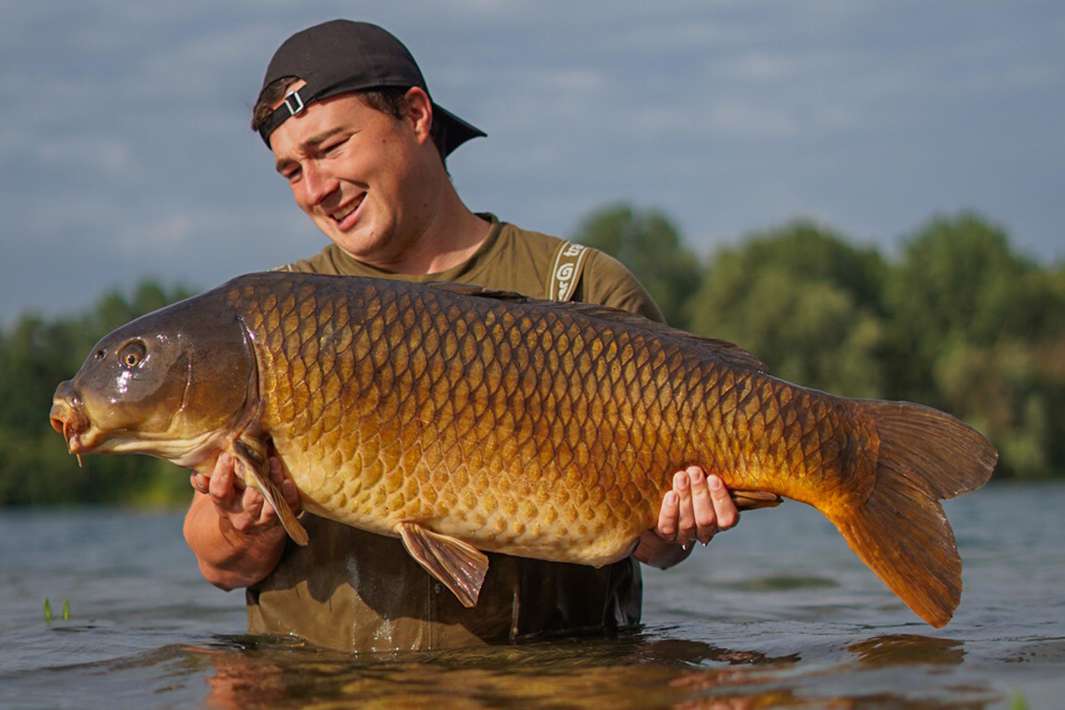 De Ganzenkuil Karper 20 De Karper 20