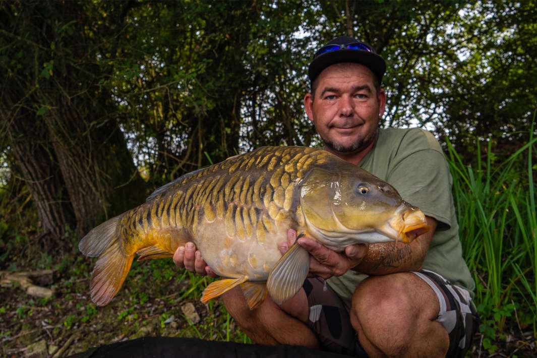 De Ganzenkuil Karper 4 2 De Karper 2