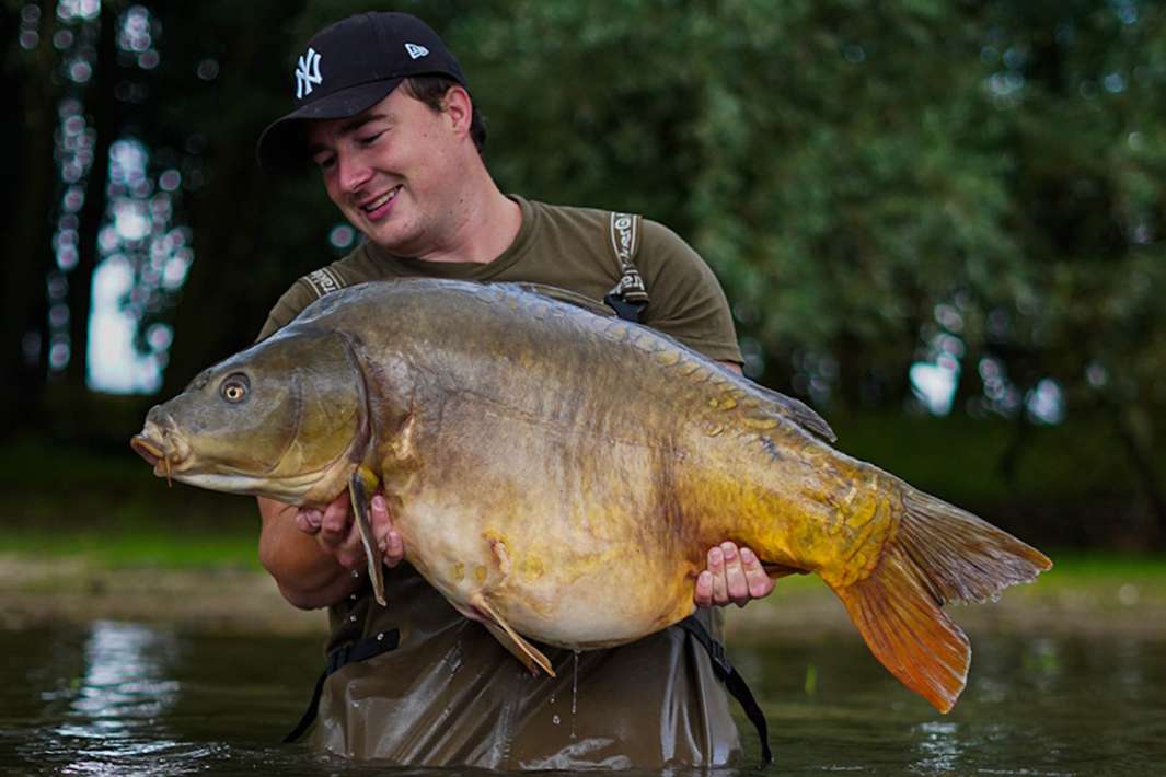 De Ganzenkuil Karper 6 De Karper 6