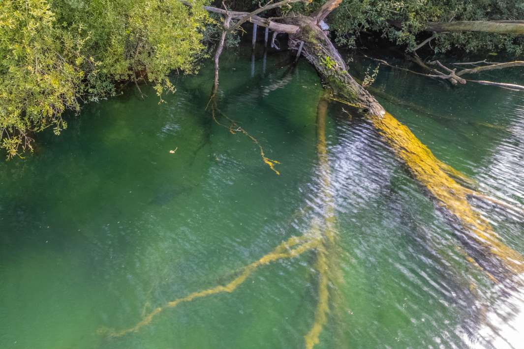 De Ganzenkuil Sfeerfoto 2 De Ganzenkuil Sfeerfoto