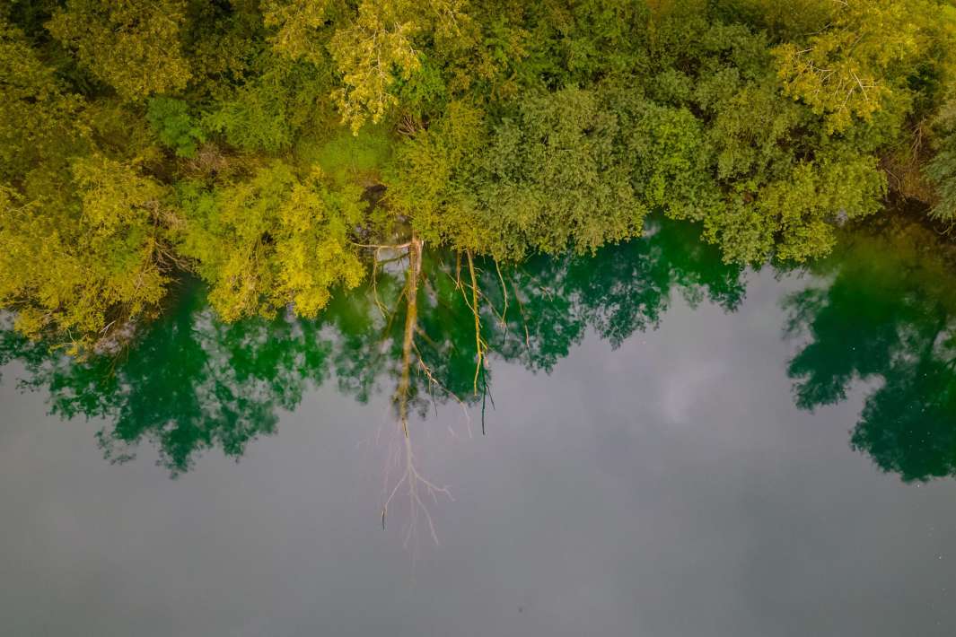 De Ganzenkuil Stek 3 2 De 3 2