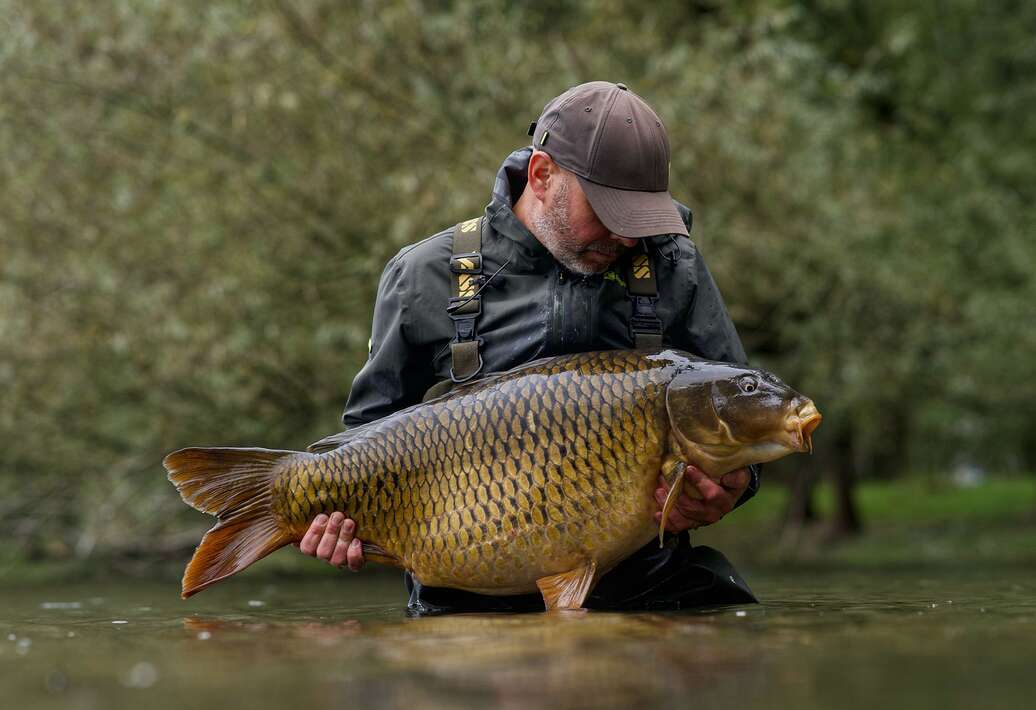 The Goosepit Dave Levy 1 Goosepit Levy 1