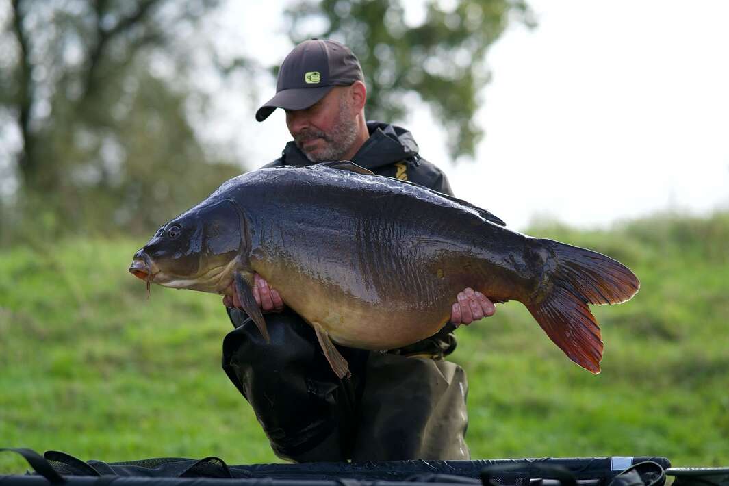 The Goosepit Dave Levy 11 The Dave Levy