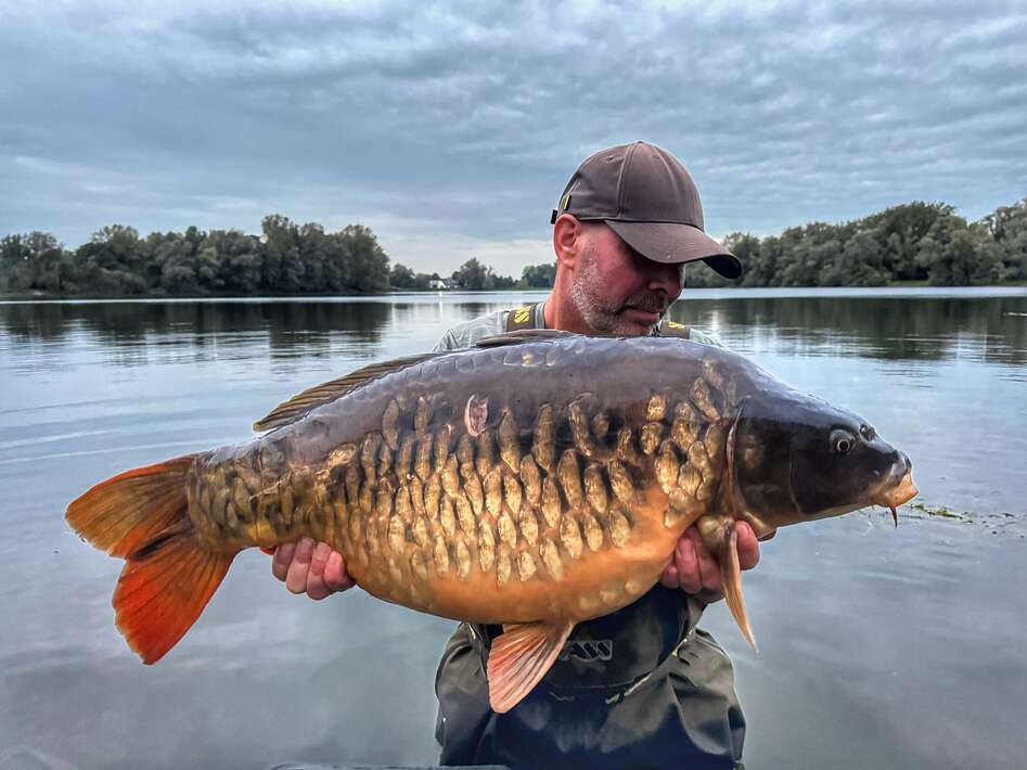 The Goosepit Dave Levy 3 The Dave Levy