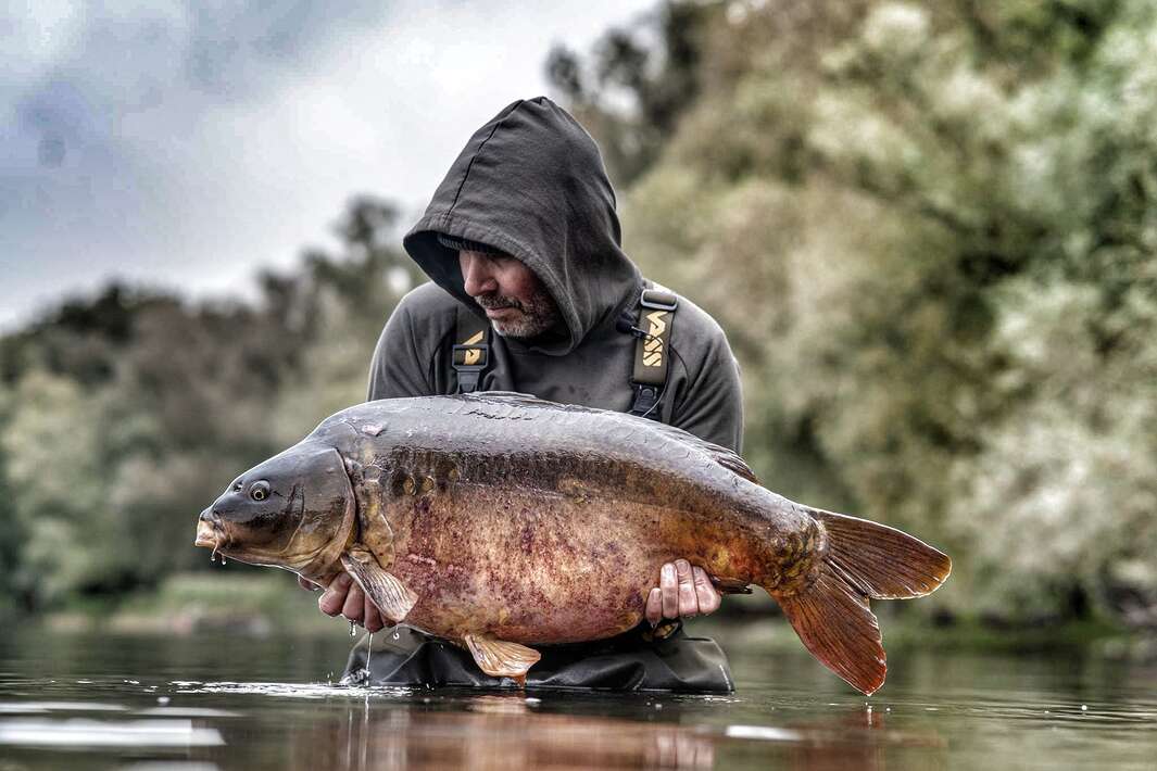 The Goosepit Dave Levy 4 The Levy 4