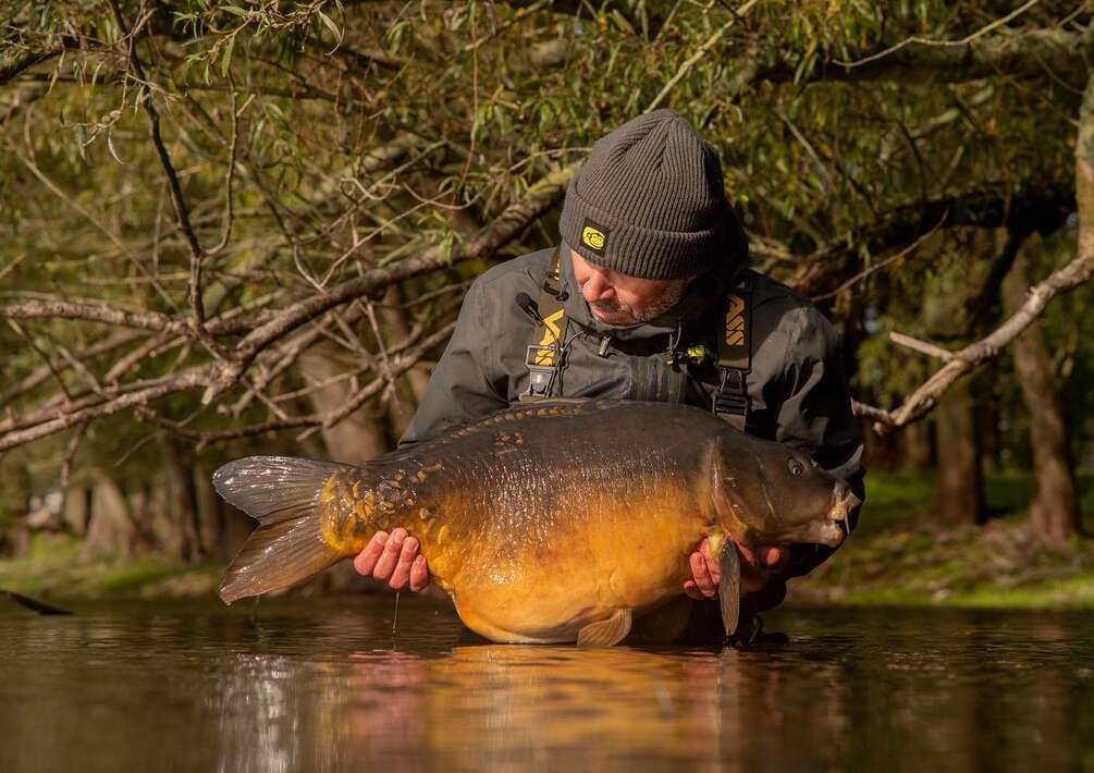 The Goosepit Dave Levy 9 The Dave 9