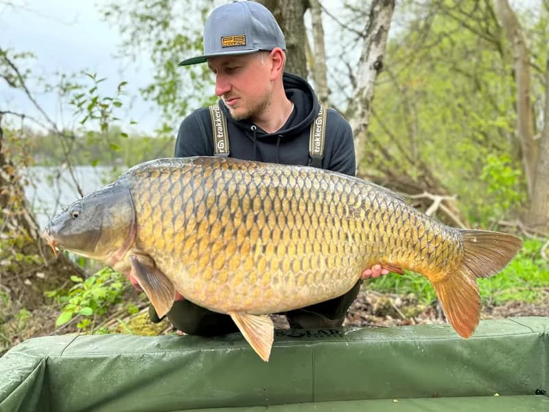 2023 April.12 April.12