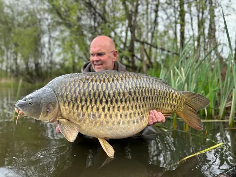 2023 April.17 April.17