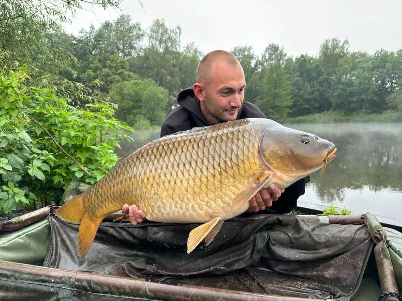 Glory Carp Lake 4 Glory Carp 4