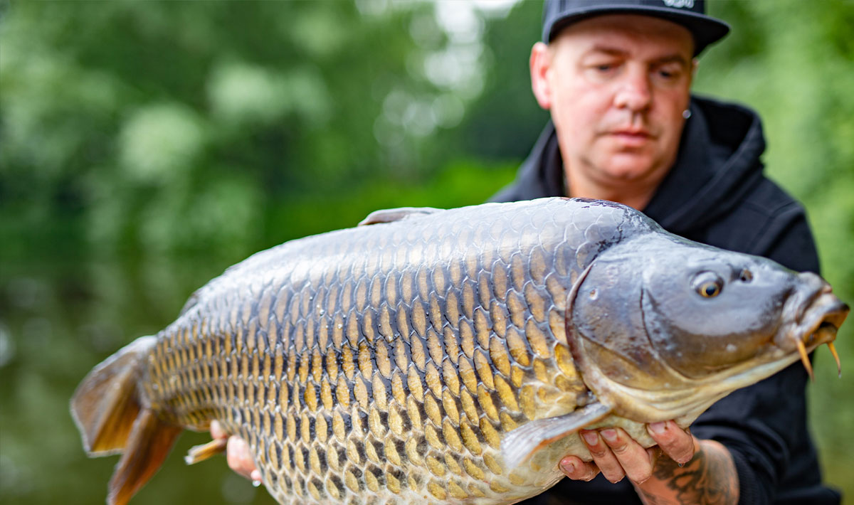 Karpervissen Betaalwater Oploo Glory Carp Oploo Glory Carp