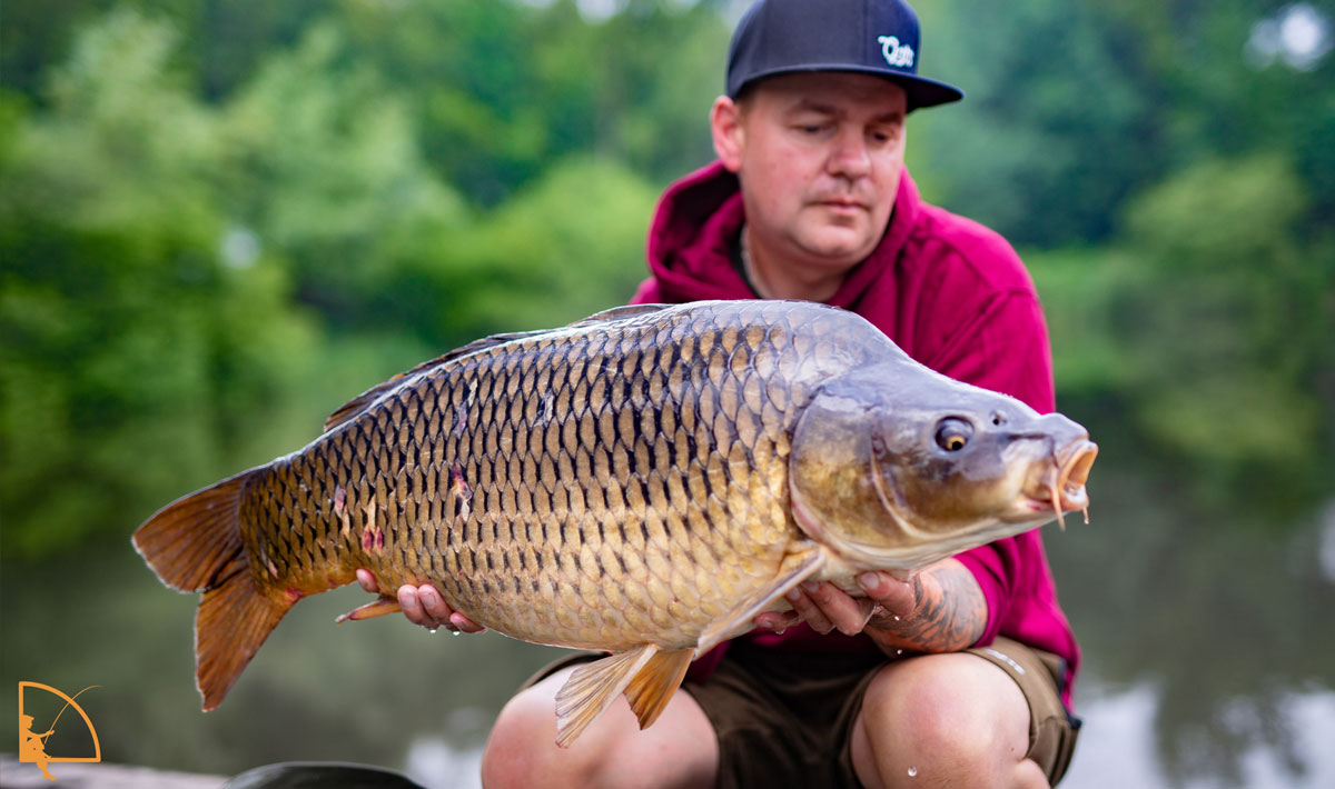 Karpervissen Betaalwater Oploo Glory Carp Karpervissen Betaalwater Oploo